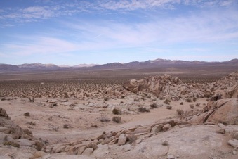 Enlarge photo 41