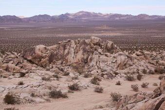 Enlarge photo 42