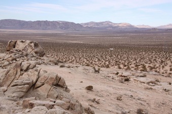 Enlarge photo 43