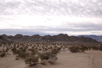 Enlarge photo 51