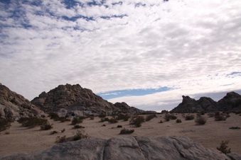Enlarge photo 62