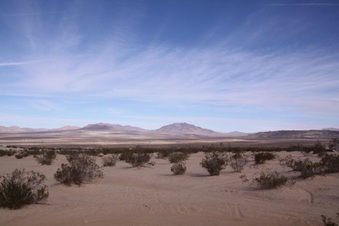 Enlarge photo 65