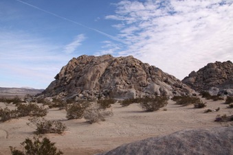 Enlarge photo 66