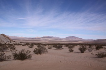 Enlarge photo 71