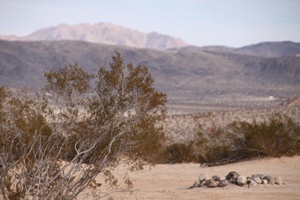 Enlarge photo 75