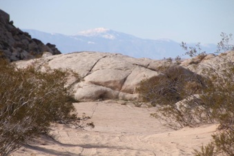 Enlarge photo 76