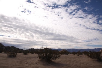 Enlarge photo 78