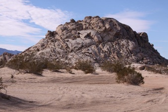 Enlarge photo 81