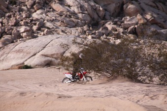 Enlarge photo 82