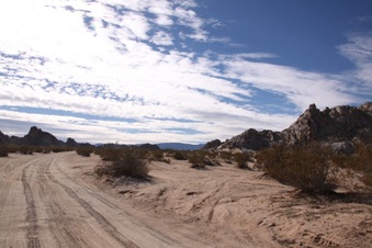 Enlarge photo 91