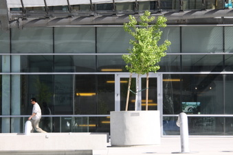 Enlarge photo 29