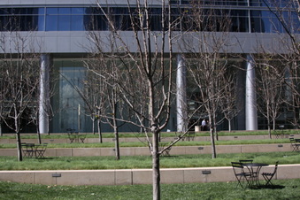 Enlarge photo 17
