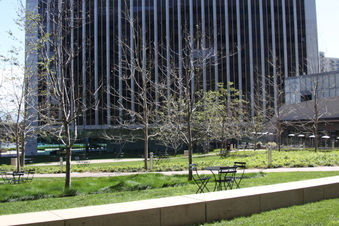 Enlarge photo 11
