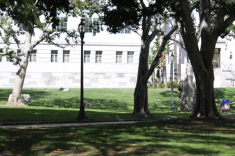 Enlarge photo 25