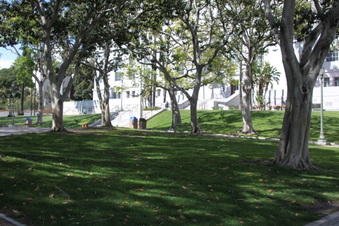 Enlarge photo 16