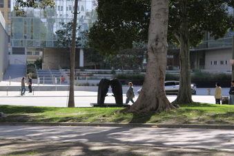 Enlarge photo 7
