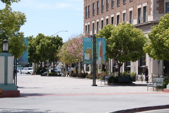 Enlarge photo 15