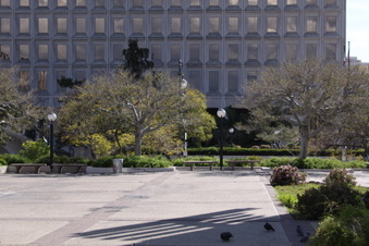 Enlarge photo 19