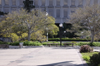 Enlarge photo 20