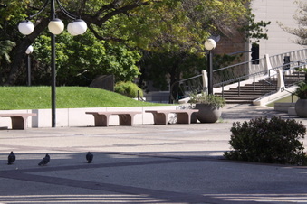 Enlarge photo 23