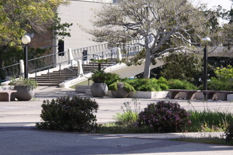 Enlarge photo 24