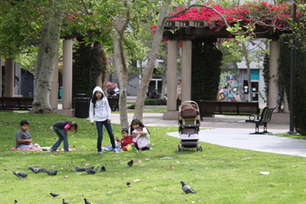 Enlarge photo 6