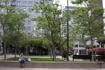 Enlarge photo 13