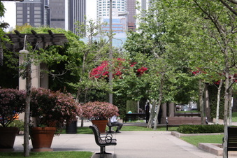 Enlarge photo 19