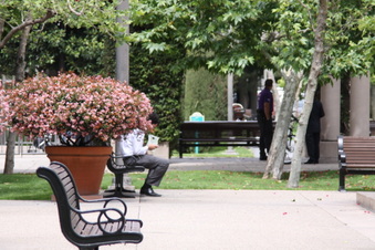 Enlarge photo 20