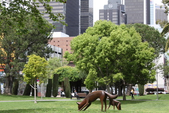 Enlarge photo 24