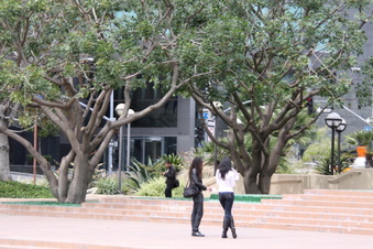Enlarge photo 35