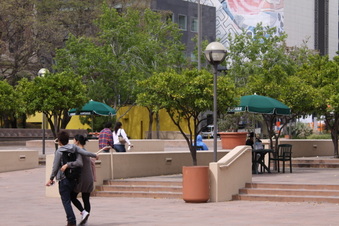 Enlarge photo 26