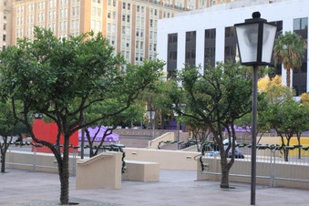 Enlarge photo 24