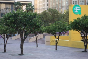 Enlarge photo 22