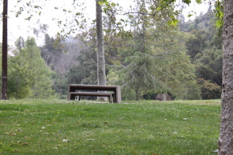 Enlarge photo 10