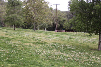 Enlarge photo 32