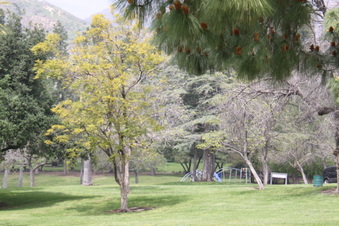 Enlarge photo 11