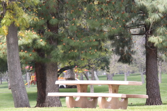 Enlarge photo 14
