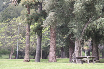 Enlarge photo 15