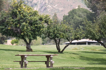 Enlarge photo 17