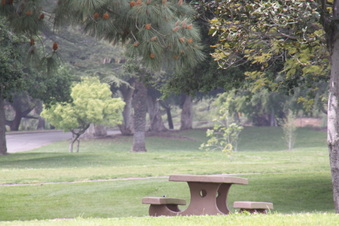 Veterans Memorial Park - Sylmar