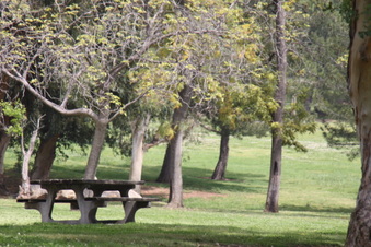 Enlarge photo 18