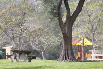 Enlarge photo 20