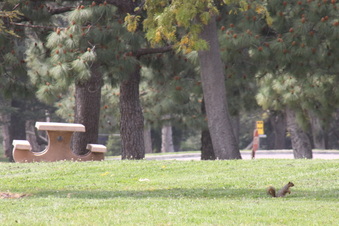 Enlarge photo 21