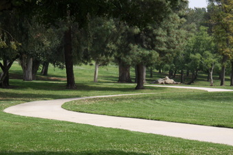Enlarge photo 25