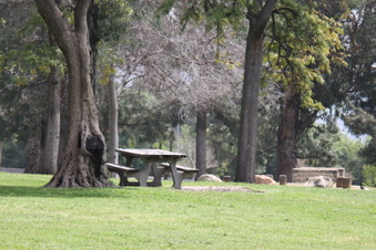 Enlarge photo 26
