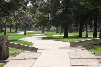 Enlarge photo 28