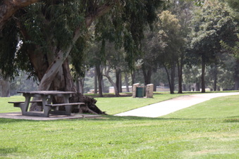 Enlarge photo 29