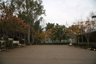 Enlarge photo 10