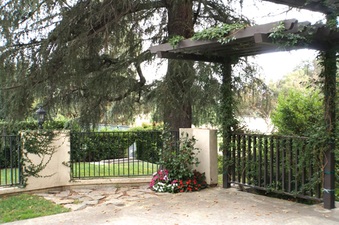 Enlarge photo 14